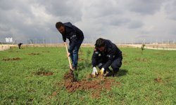 Fidanlar Kent Korusu’nda Hayat Buluyor