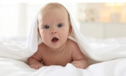 Eskişehir'deki hane halkının yüzde 67'sinde Çocuk Yok