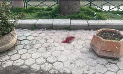 Eskişehir'de bıçaklı kavga: 1 yaralı