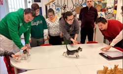 Özel Çocuklardan Sokak Hayvanlarına Sıcak Yuva