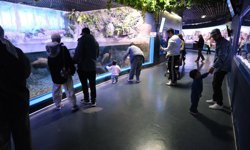 23 Nisan Coşkusu Parklara Ve Sahnelere Taştı