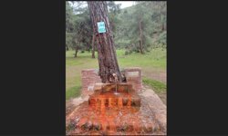 Çeşmeden maden suyu içmek isteyenlerr Laçin’e geliyor