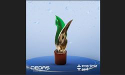 OEDAŞ’a Communitas Awards Ödülü
