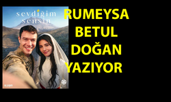 Sevdiğim Sensin Neden Bu Kadar Çok Sevildi?