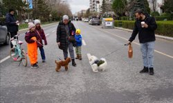 “Arabasız Pazar” İle Şehirde Sessiz Ve Temiz Bir Gün