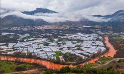 Yağmur sonrası Sakarya Nehri'nin rengi değişti