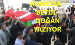 Tam da Bundan Bahsediyorduk