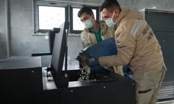 Atık Yemekler Can Dostlara Mama Oluyor