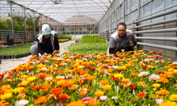 “Tepebaşı’na Gelince İçiniz Açılır”