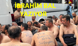 Sosyal Çürüme