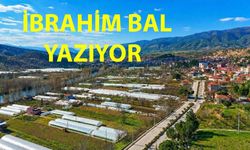 Vahşi Madencilik Ve Sarıcakaya