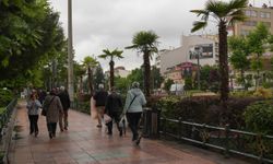 Köprübaşı Palmiyelerle Süslendi