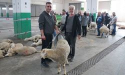 Bayramın Huzuru Tepebaşı’nda Yaşandı