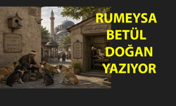 Osmanlı’da Hayvan Hakları