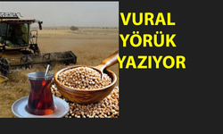 Çiftçiye Refah Dedikleri Bu mu?