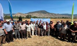 Büyükşehirden Üreticiye Yem Bitkisi Balyası Desteği