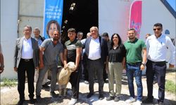 Üreticiye Can Suyu Damızlık Koçlar