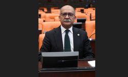 Alpu Ovası'nda Kimin Çıkarı Korunuyor?