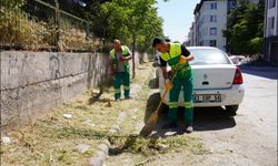 Tepebaşı’nda Yağışların Ardından Kaldırım Otlarına Karşı Temizlik Çalışmaları
