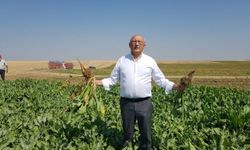 “Pancar üreticisi şirketlerin inisiyatifine bırakılamaz!”