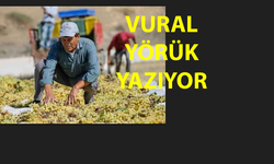 Köy Kahvesinde Memleketi Konuştuk