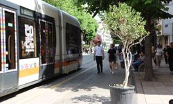 İsmet İnönü 1 Caddesi Zakkum Ağaçları İle Süslendi