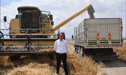 Beylikova Belediyesi Hububat Hasadına Başladı