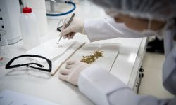 Köklü birikimiyle geleceğin eczacılarını yetiştiriyor