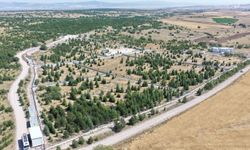 Kıravdan'da Sahipsiz Hayvanlar İçin Doğayla İç İçe Yaşam Alanı