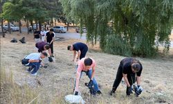 AK Partili Gençler Doğaya Sahip Çıktı