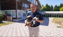Tepebaşı’nda Her Can İçin Şeffaf Takip