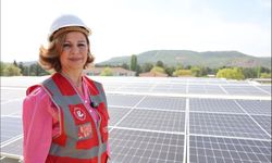 Gelecek Doğaya Saygı Duyan Şehirlerin Olacak