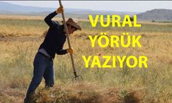 Yerli Ve Milli Diyorlar... Ama Toprak Başka Şey Söylüyor