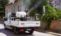 Tepebaşı'nda Ulv İlaçlama Çalışmaları Aralıksız Sürüyor