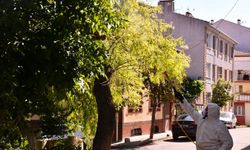 Tepebaşı'nda Parklar Daha Sağlıklı Yarınlara Hazırlanıyor