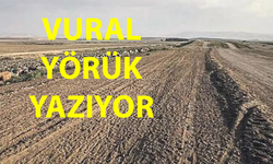 Toprağın Mahkemesi