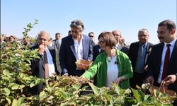 ÇİDEM Tarımsal Üretimin Yeni Merkezi Olacak