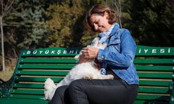Ayşe Ünlüce; "8 bine yakın köpeği koruma altına aldık"