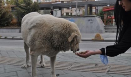 Bu maçın kaybedeni yok