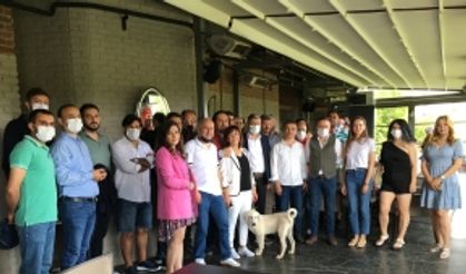 Eskişehir'de ilk kez bir köpeğe mikroçip takıldı