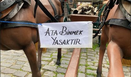 Eskişehir'deki "Ata binmek yasaktır" uyarısı dikkat çekiyor