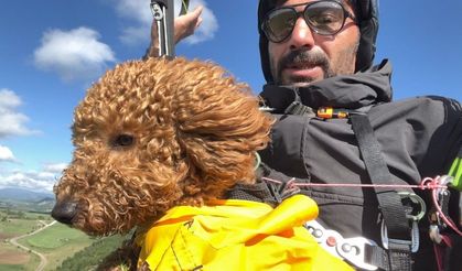 Toby isimli köpek paraşütle atladı