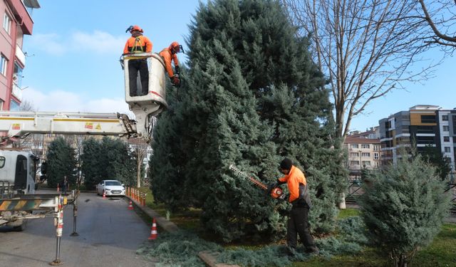 Büyükşehir’den Ağaçlara Kış Bakımı