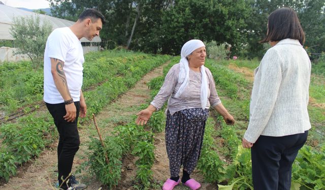 Tarlada Maliyetin Altında Rafta Ateş Pahası