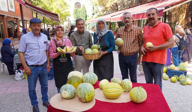 Bağrıbütün Kavunu Eskişehirlileri Bekliyor