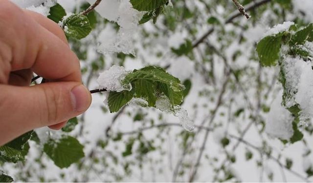 Eskişehir'de hava sıcaklığı 0 dereceye düşecek