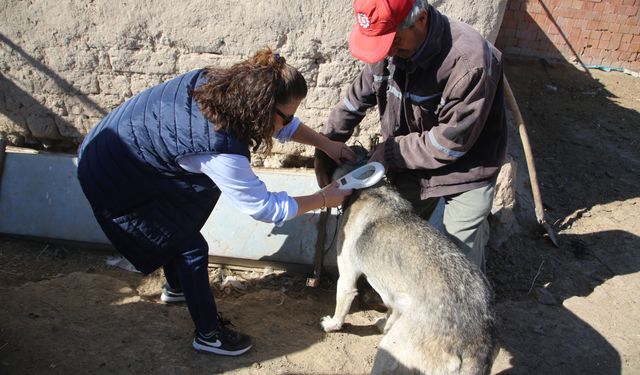 Türkiye’ye Örnek Olan Projede İlk Adım