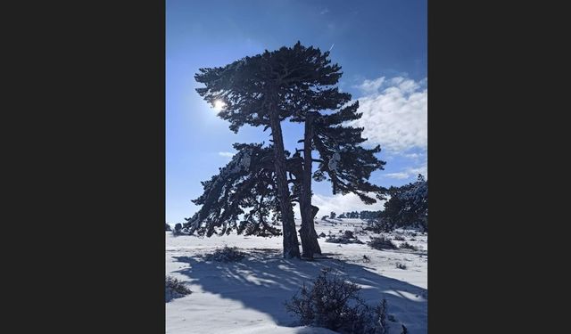 Kırka Mahallesi beyaza büründü