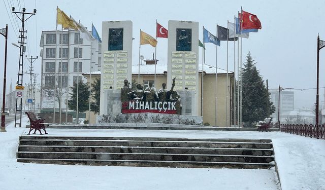 Eskişehir'de kar yağışı etkili oldu
