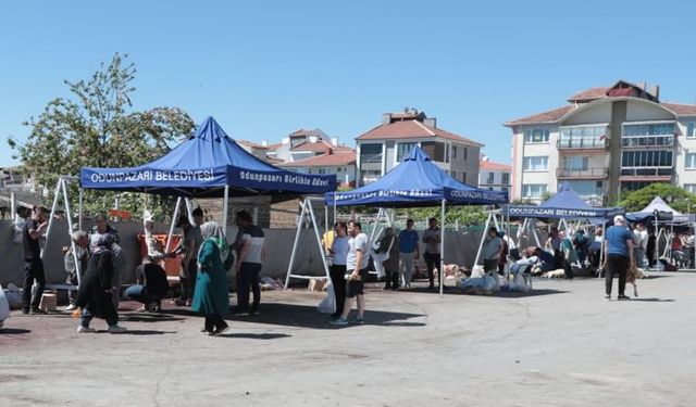 Odunpazarı Belediyesi’nden Ücretsiz Ve Hijyenik Kurban Kesim Hizmeti